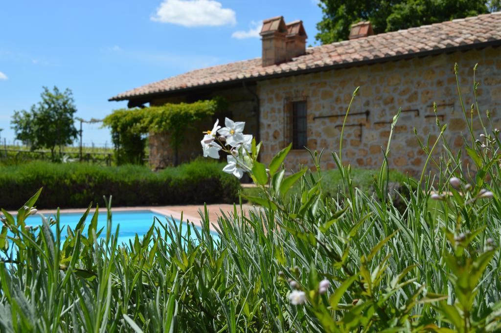 Agriturismo Eco-Bio Villa Vacasio Pitigliano Extérieur photo