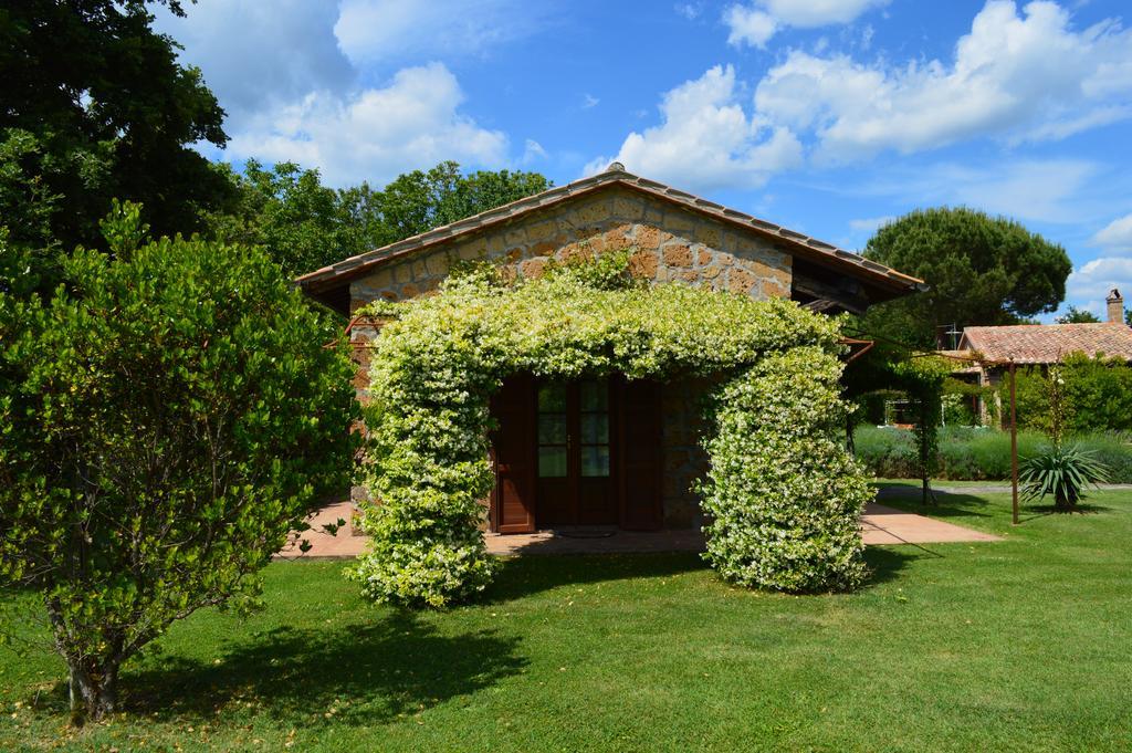 Agriturismo Eco-Bio Villa Vacasio Pitigliano Extérieur photo