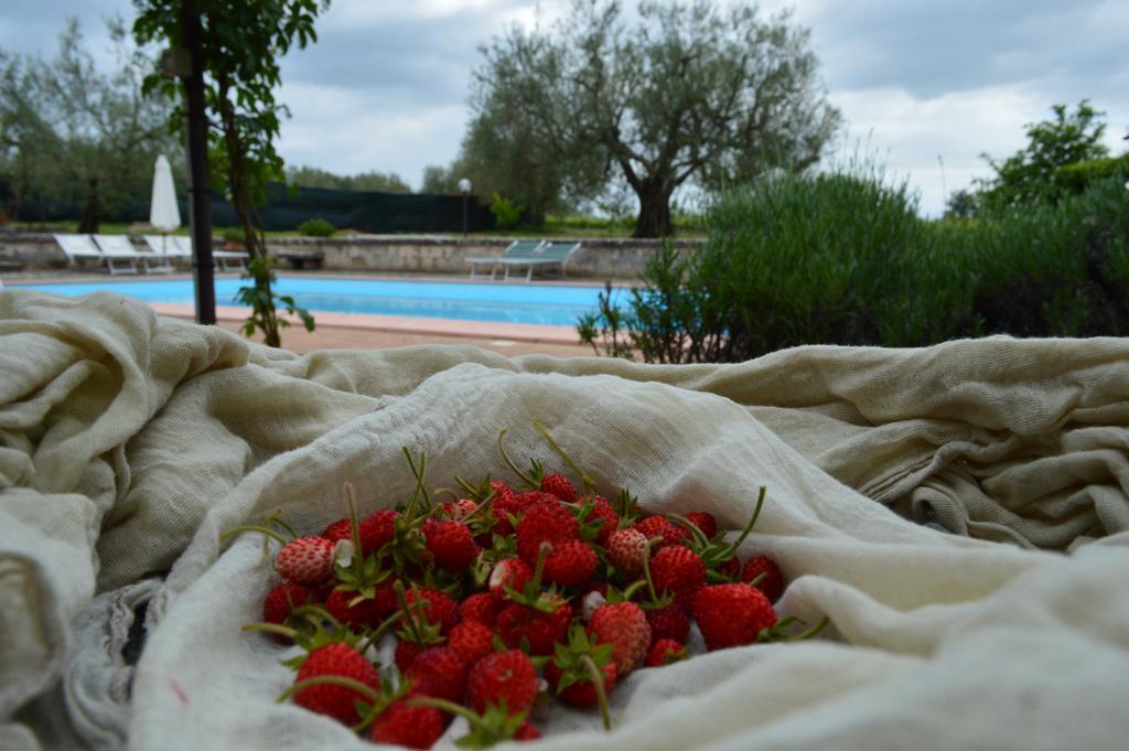 Agriturismo Eco-Bio Villa Vacasio Pitigliano Extérieur photo