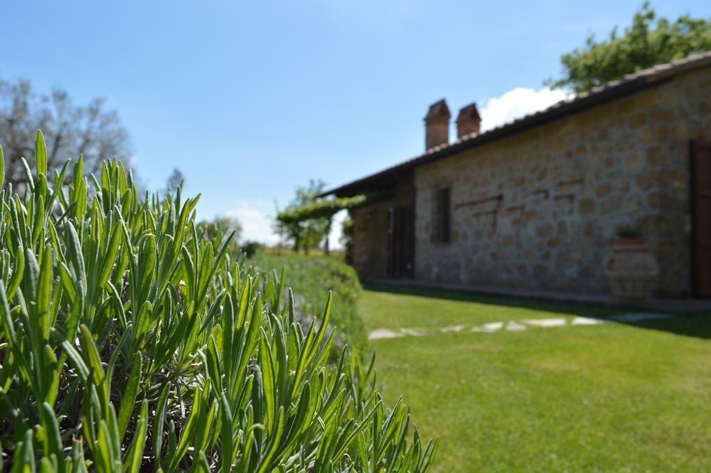 Agriturismo Eco-Bio Villa Vacasio Pitigliano Extérieur photo